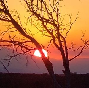 Meet your Posher, Jodie